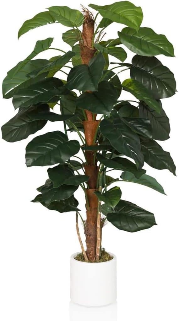 Avis sur l'arbre artificiel hjh OFFICE 155 cm : élégance exotique d'intérieur