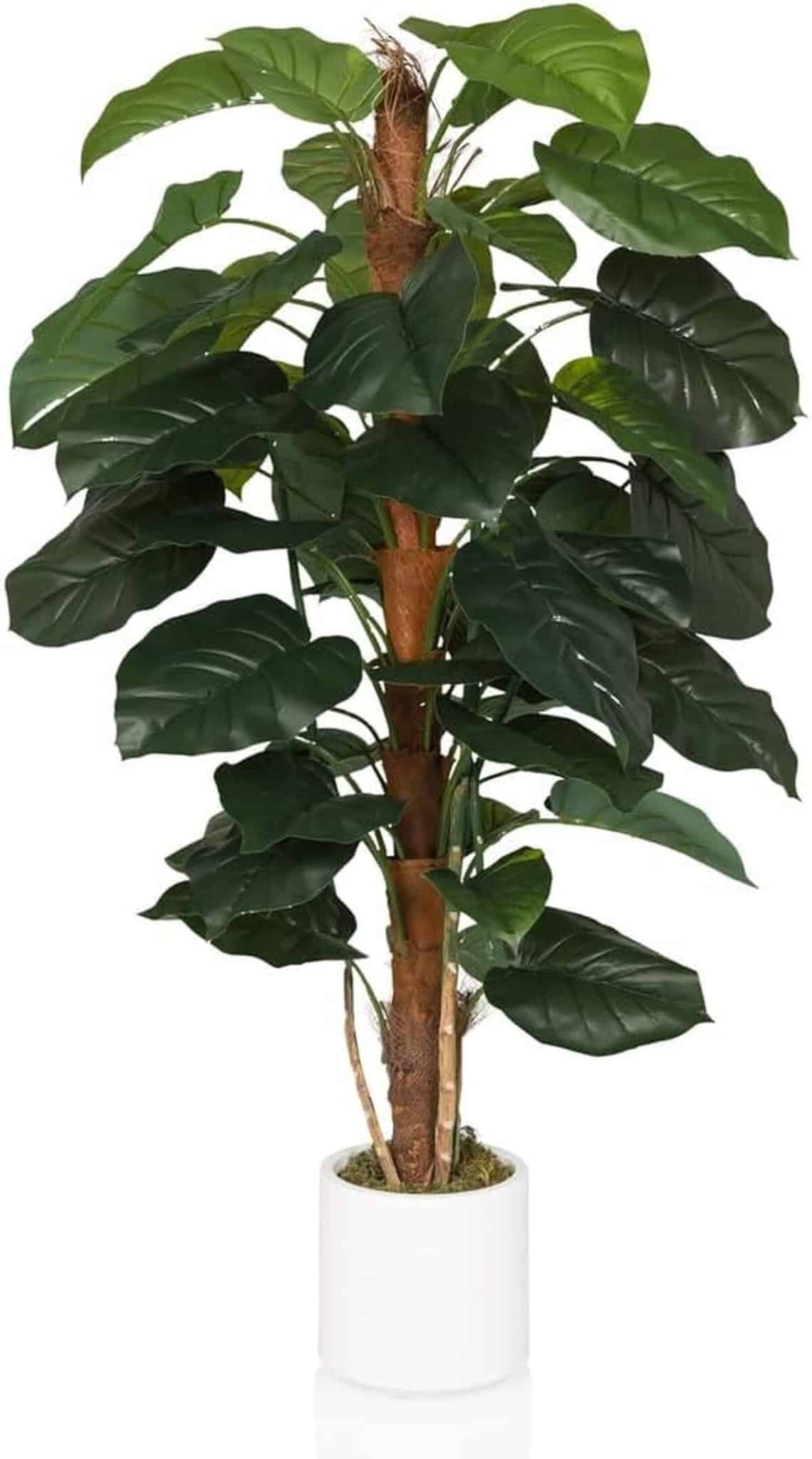 Avis sur l'arbre artificiel hjh OFFICE 155 cm : élégance exotique d'intérieur