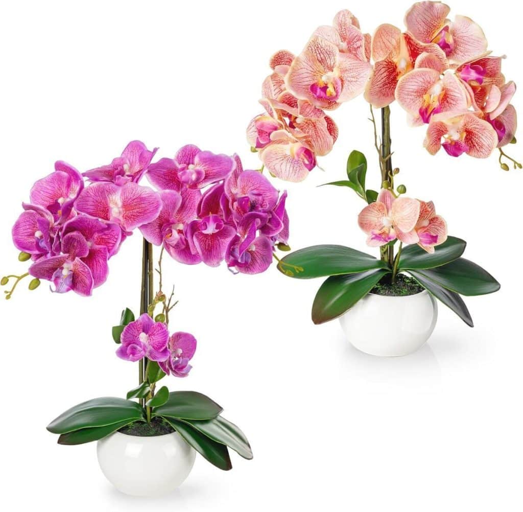 Avis sur le lot de 2 fleurs artificielles Pasch en pots céramique