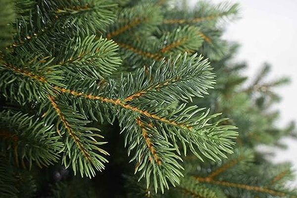 Découvrez notre test détaillé de l'arbre de Noël réaliste 180 cm avec 2099 branches. Avis, caractéristiques et conseils pour choisir le meilleur sapin artificiel superépais.