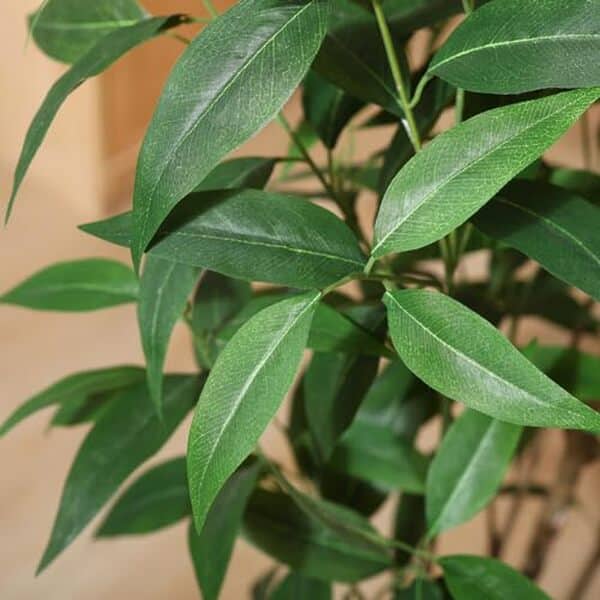 Découvrez notre avis complet sur l'eucalyptus artificiel de 1, 5 m en pot : qualité, avantages et conseils de décoration pour sublimer votre intérieur avec cette plante artificielle.